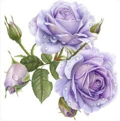 Obituary of Bethany P. Snider