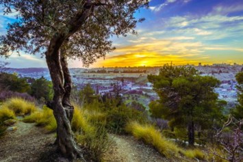 Obituary of Robert Leonard Shrager