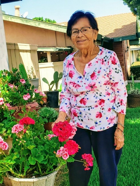 Obituary of Maria Rita Hernandez