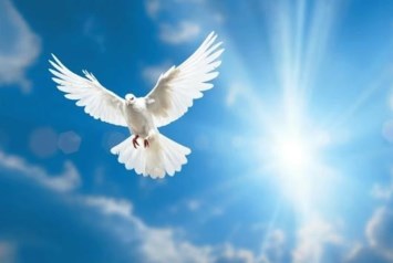 Obituary of Gail P Pender