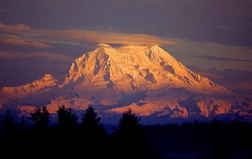 Obituary of Betty Gertrude Reed