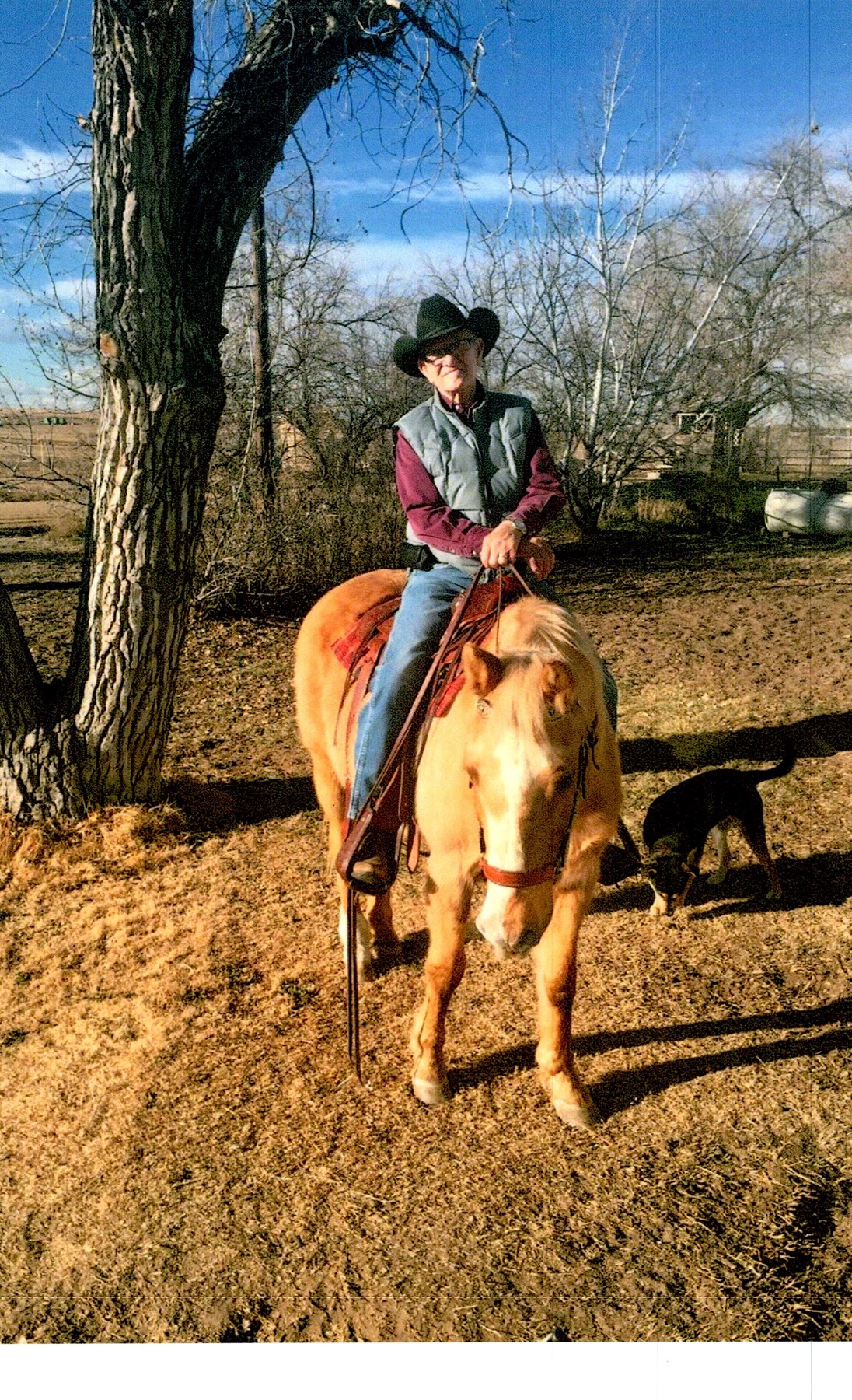 Obituary of Melvin John Wynia