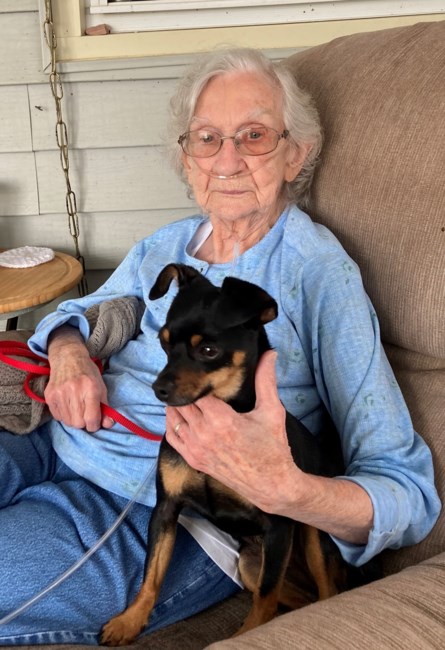 Obituary of Doris Merle Steele