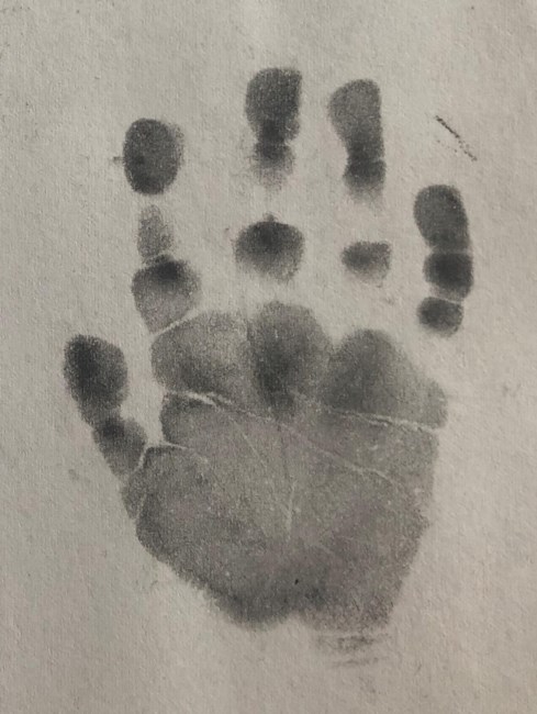 Obituary of Roman James Scofield