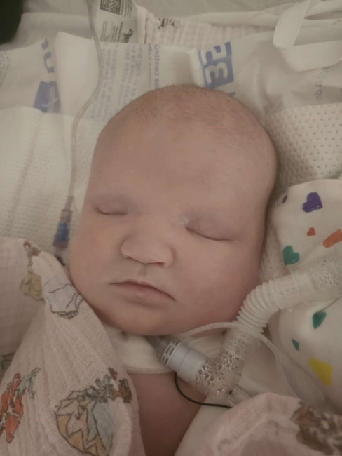 Obituary of Ava Celeste Davis