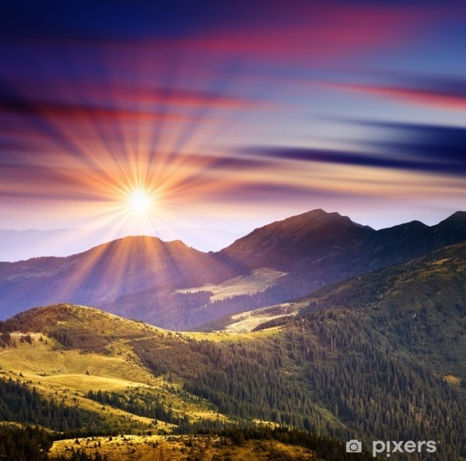 Obituary of Grace Nadine Reed