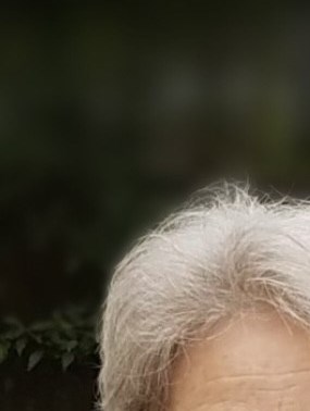 Deborah Mols Obituary - Tampa, FL