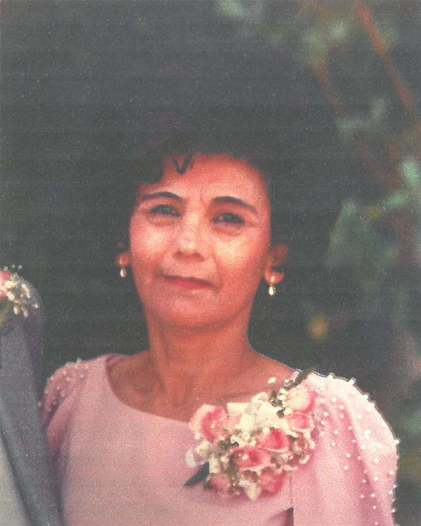 Obituary of Elena Arellanes Medina