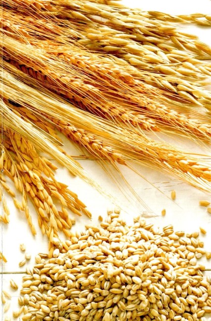 Obituary of Donald Allen Pedersen