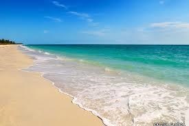 Obituary of Katherine Latimer Nieman