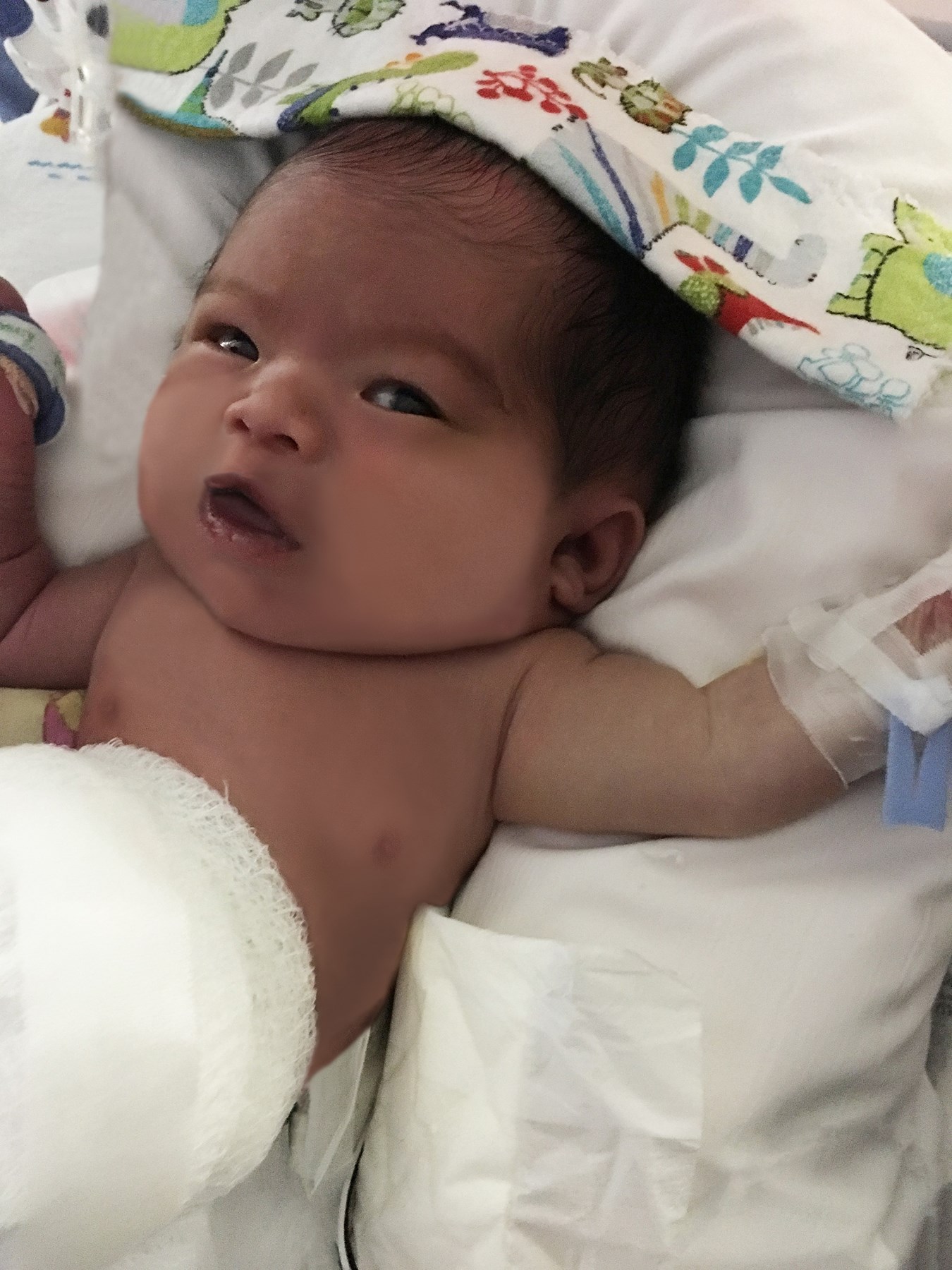 Obituary of Morgan Vuong Vo