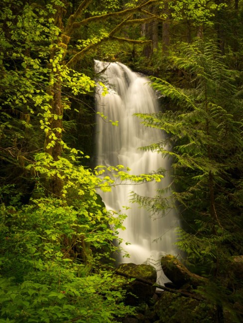 Obituary of Paul Gordon Clifton