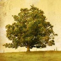 Obituary of Scott Frederick Sutton