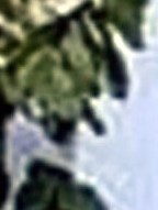 James Harding Obituary - Leeds, AL