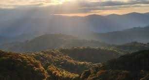 Obituary of Philip Cameron Holly