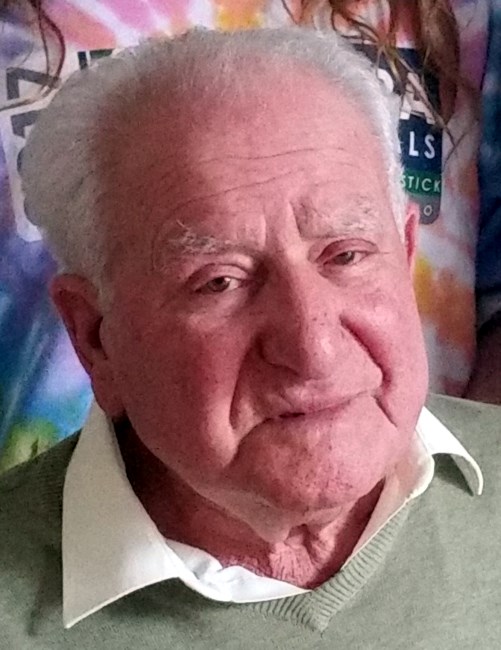 Obituary of Giuseppe Di Domenico