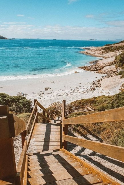 Obituary of M. Guadalupe Alonso-Redondo