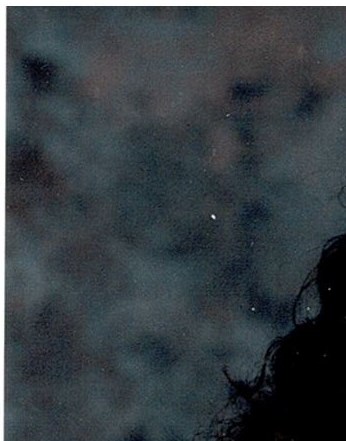 Sharon Morris Obituary Sylacauga AL Sharon Morris Obituary Sylacauga AL