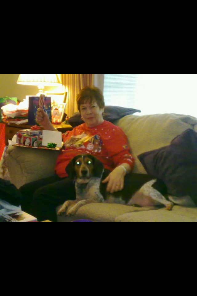 Obituary of Patricia Ann Steele