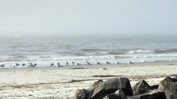 Obituary of Betty "BJ" June Lawson