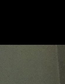 Janet Harris Obituary - Washington, DC