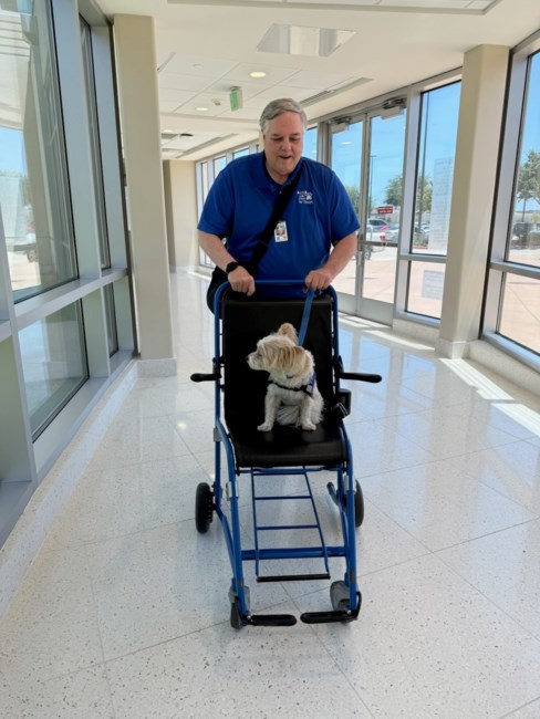 Obituary of David Jay Phillips