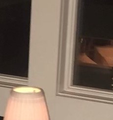 Debra Rothstein Obituary - New York, NY