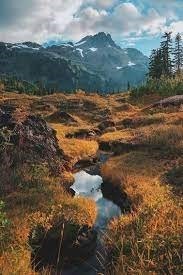 Obituary of David Anthony Ruiz