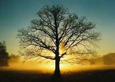 Obituary of Daniel Harold Keck Jr.