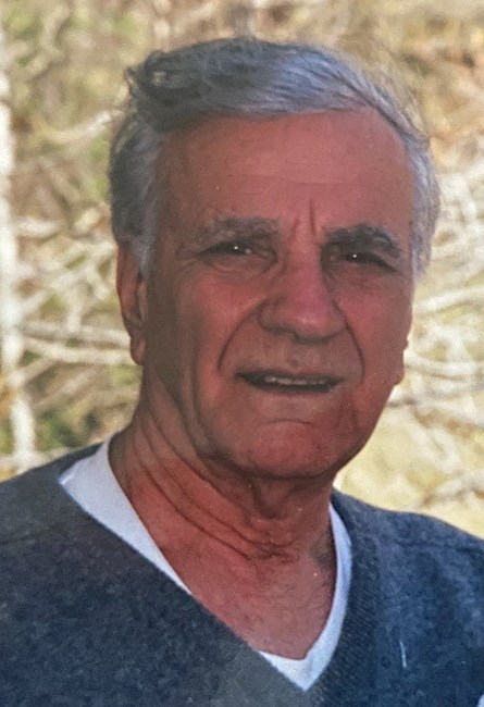 Obituary of Arnold L. Memoli