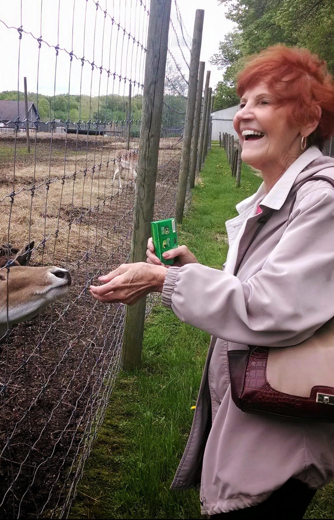 Obituary of Evelyn Green (Eve)