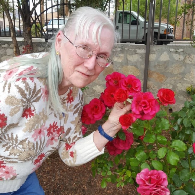 Obituary of Johnnie L Newport