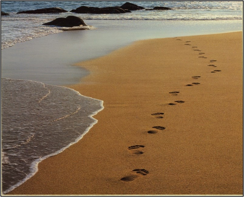 Obituario de Virginia Elizabeth Denton