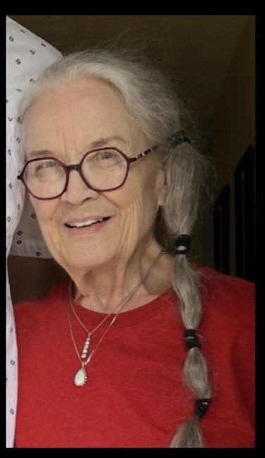 Obituary of Ann Stier Perry
