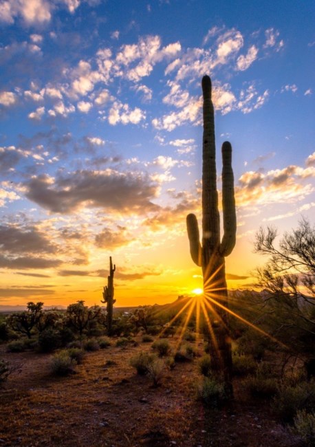 Obituary of Steven Andrew Eszenyi