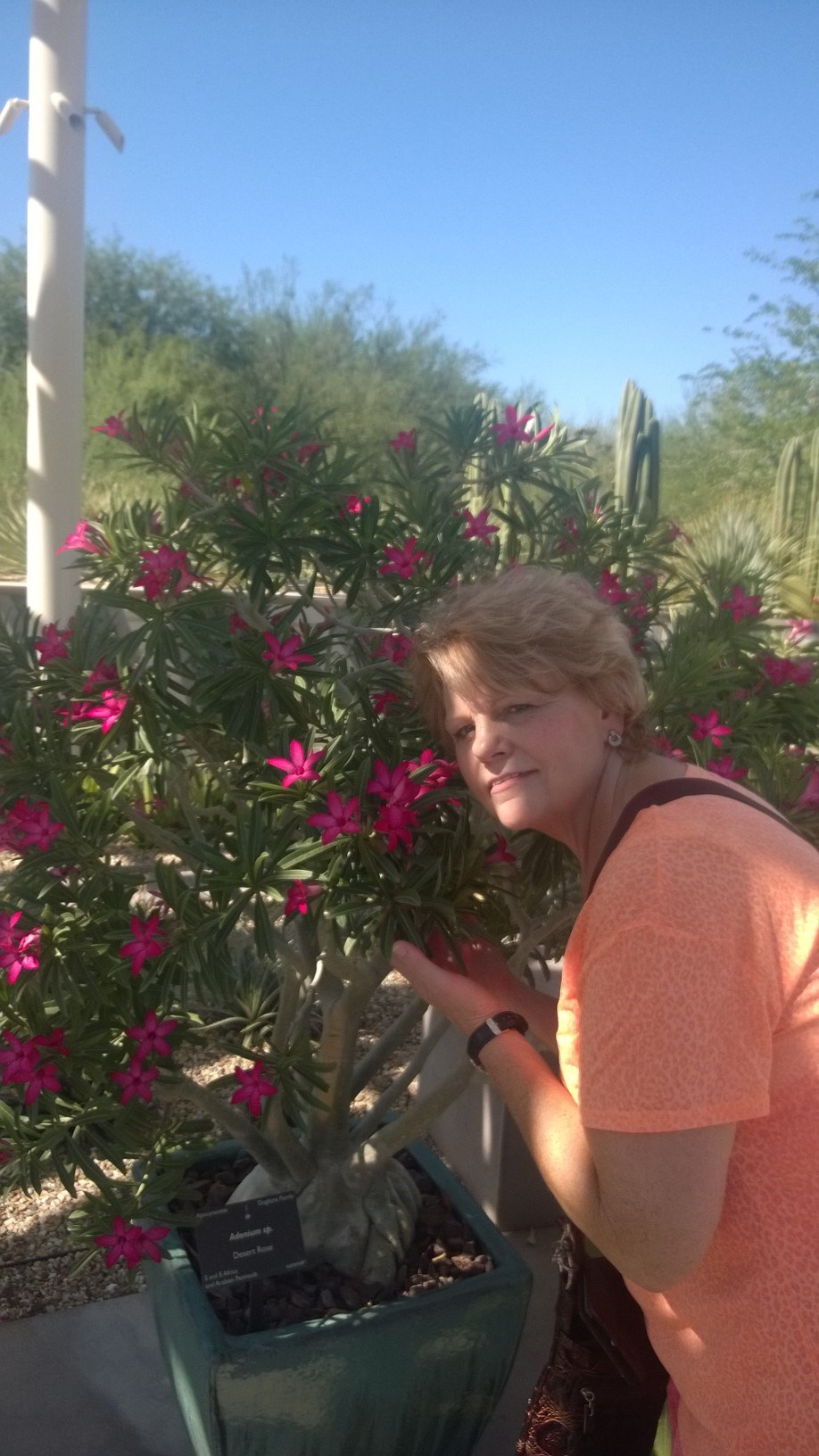 Avis de décès de Cheryl Herman Butler