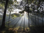 Obituario de Chad John Prince