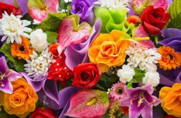 Obituary of Sheryl Louise Dahlstrom