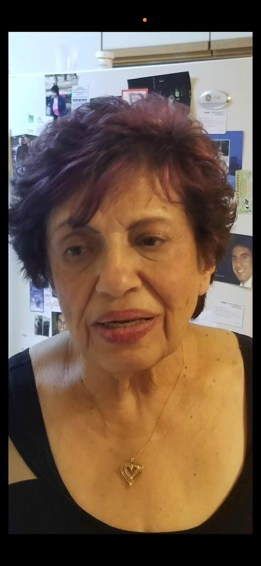 Obituary of Antoinette Helen Apicella