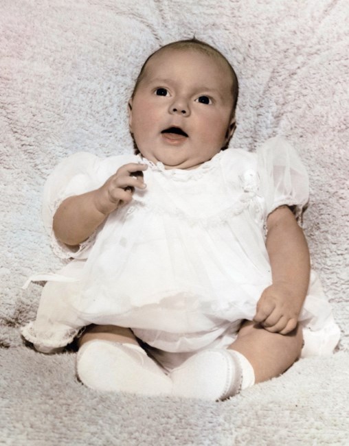 Denise L. Platek Wilmus Obituary Pittsburgh, PA