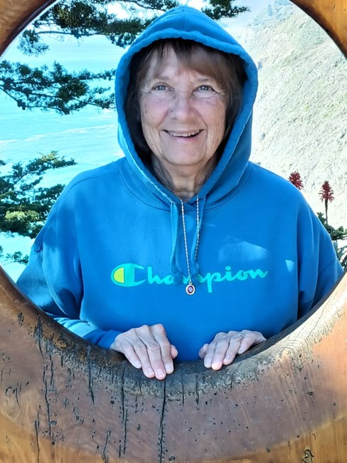 Obituary of Linda Lee Dillon