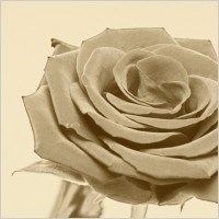 Obituary of Betty Christine Chandler