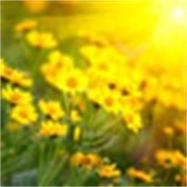 Obituary of Linda Krech Archer