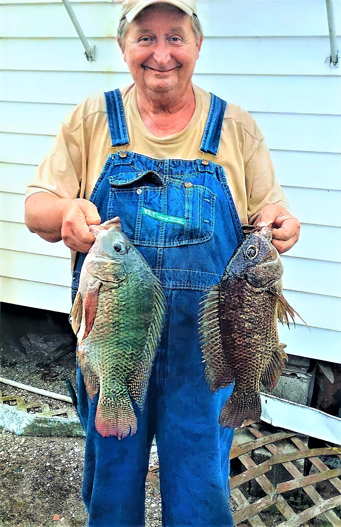 Obituary of James Willard McDaniel