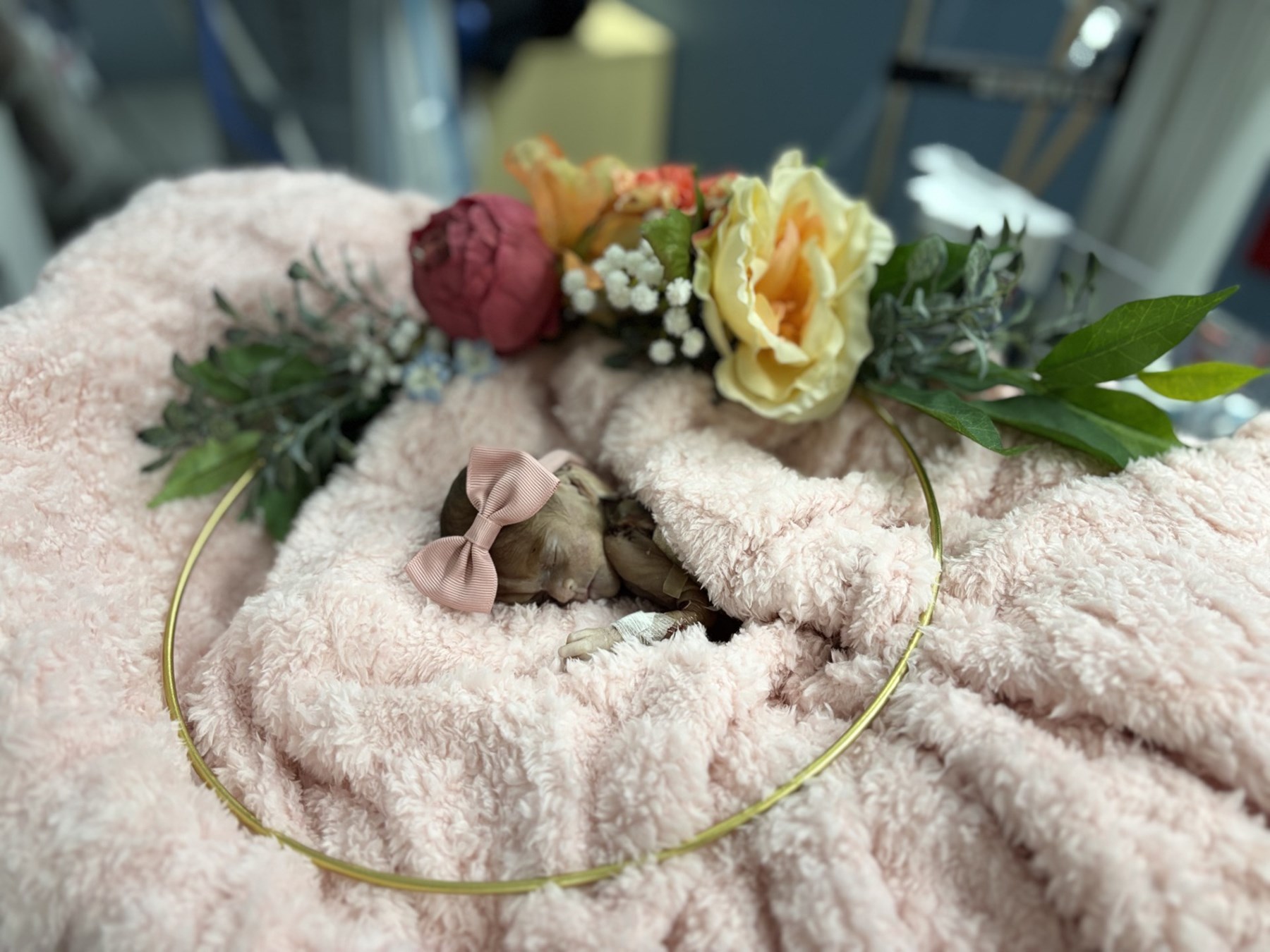 Obituary of Emily Valentina Garcia Covarrubias