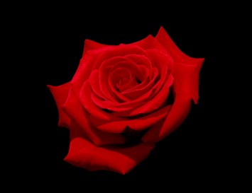 Obituary of Marjorie A. Glaeser