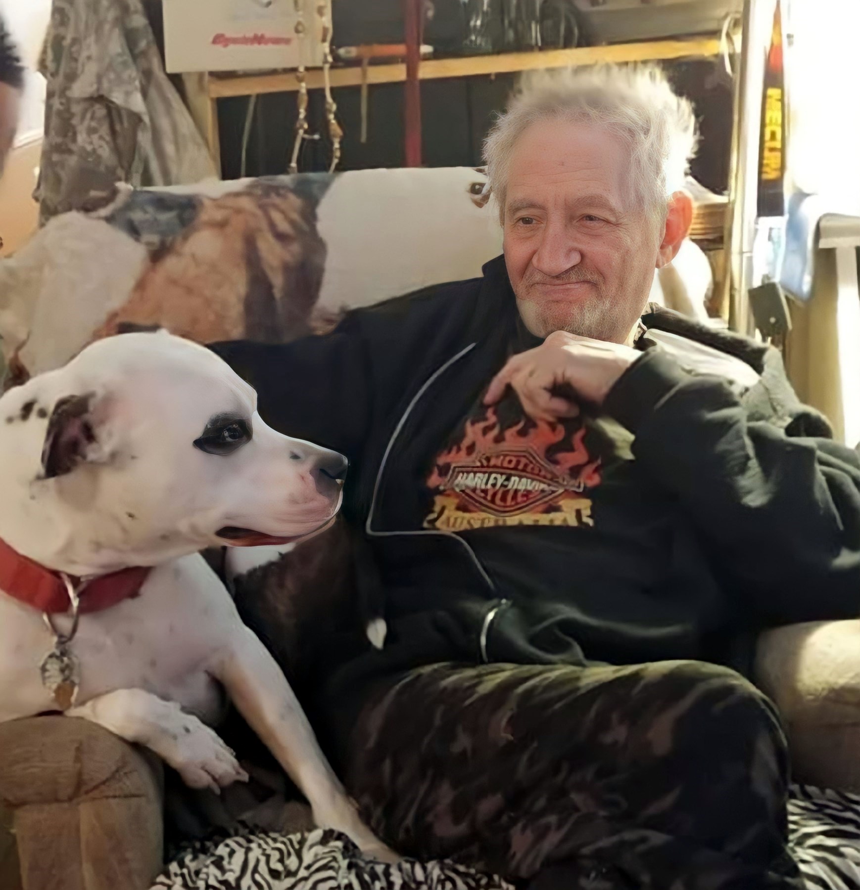 Rockford Il Obituaries 30 Days - gp5gq83