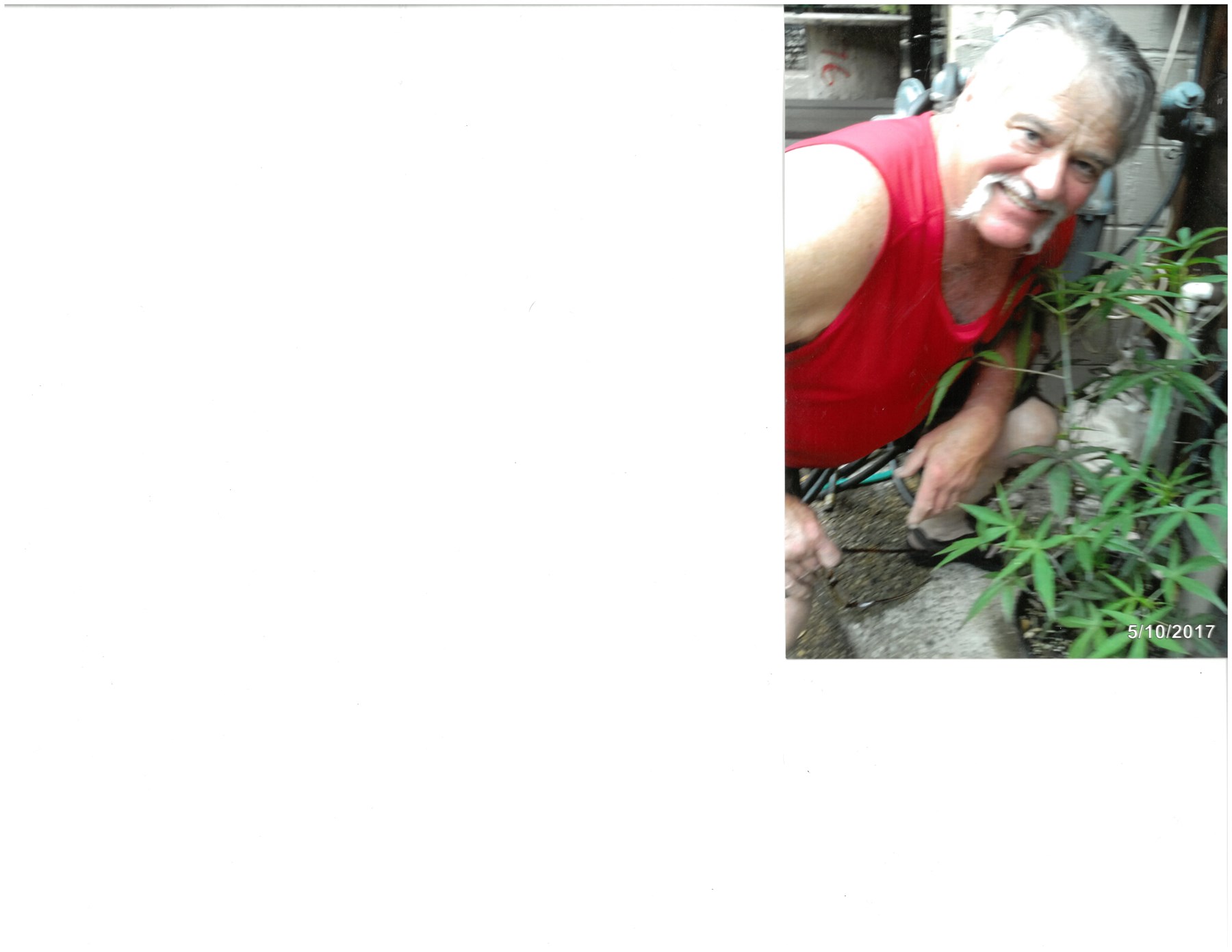 Obituary of Nicholas Keith Elias