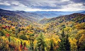 Obituary of Laura Beatrice Oster