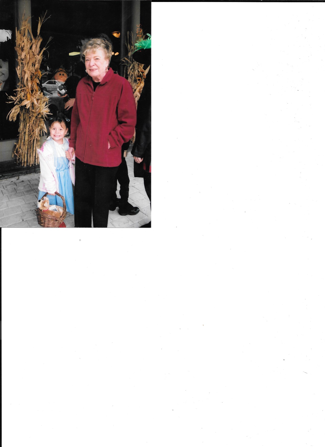 Avis de décès de Shirley Ann Lunn